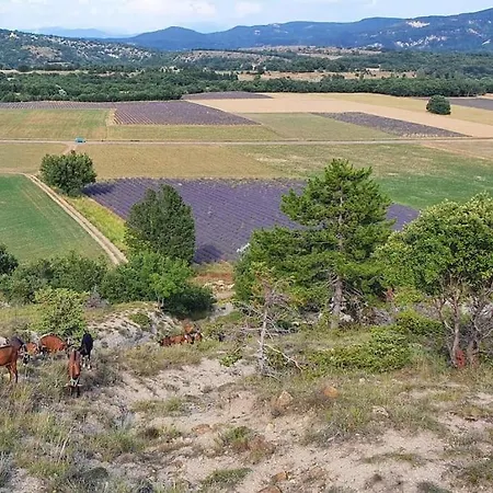 Mas Provencal Avec Piscine Et Tennis Villa Ongles
